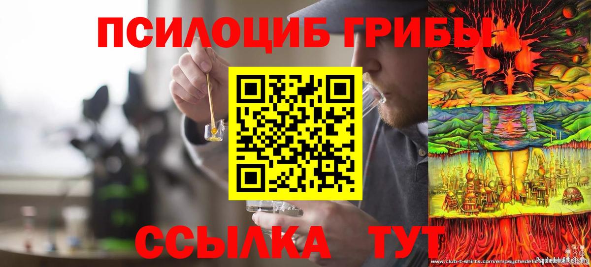 Санкт-Петербург  Псилоцибиновые грибы ЛСД  Псилоцибиновые грибы MAGIC MUSHROOMS  Вход с VPN 